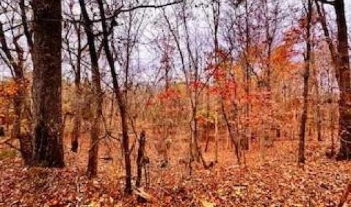 Photo #5 of 338 River Pines, Clemmons, NC 3.5 acres