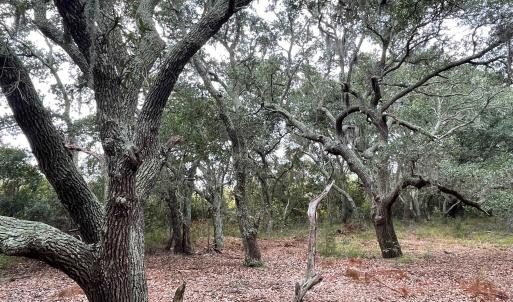 Photo #13 of Hilltop Road, Corolla, NC