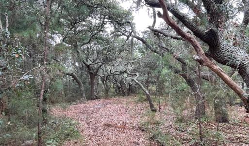 Photo #6 of Hilltop Road, Corolla, NC