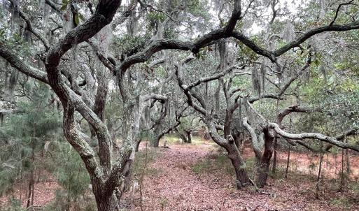Photo #7 of Hilltop Road, Corolla, NC