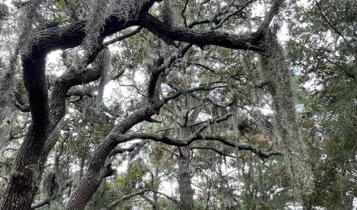 Photo #8 of Hilltop Road, Corolla, NC