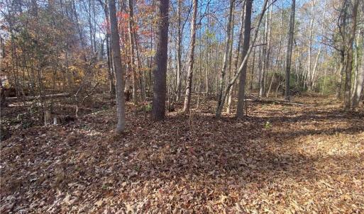 Photo #6 of 6427 Piney, Gibsonville, NC 2.1 acres