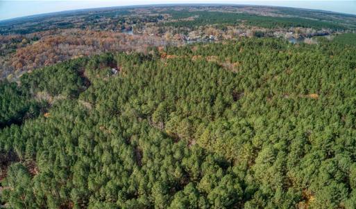 Photo #6 of 146 Cove Wood, Denton, NC 10.8 acres