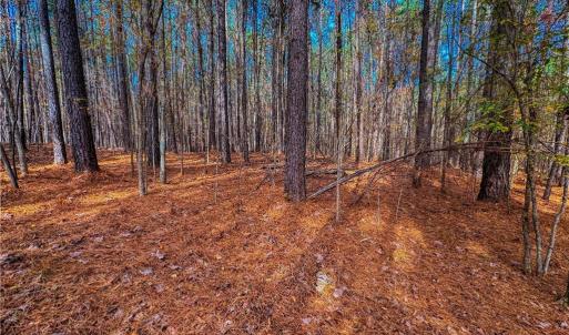 Photo #12 of 146 Cove Wood, Denton, NC 10.8 acres