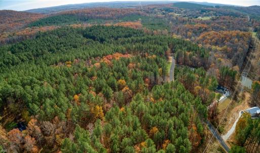 Photo #5 of 146 Cove Wood, Denton, NC 10.8 acres