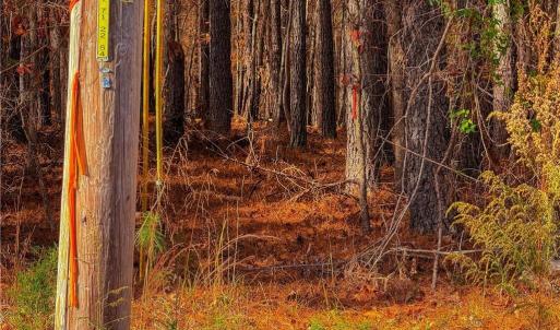 Photo #10 of 146 Cove Wood, Denton, NC 10.8 acres