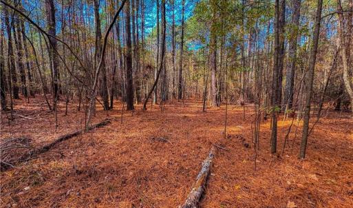 Photo #18 of 146 Cove Wood, Denton, NC 10.8 acres