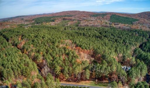 Photo #4 of 146 Cove Wood, Denton, NC 10.8 acres