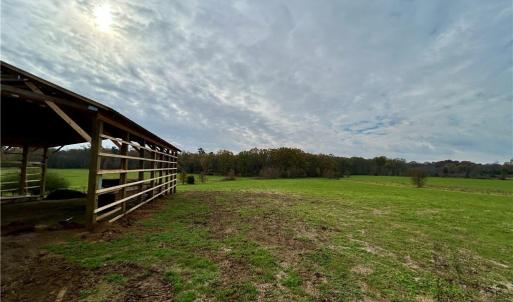 Photo #14 of 1665 Bill Lambert, Bear Creek, NC 23.1 acres