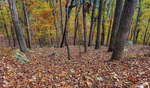 Photo #7 of 1920 Sierra Trace, Denton, NC 3.6 acres