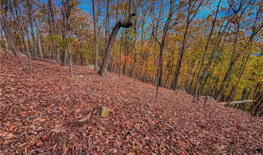 Photo #9 of 1920 Sierra Trace, Denton, NC 3.6 acres