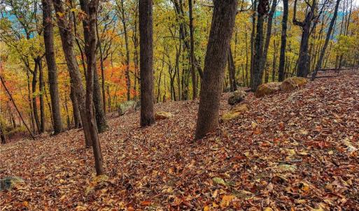 Photo #10 of 1920 Sierra Trace, Denton, NC 3.6 acres