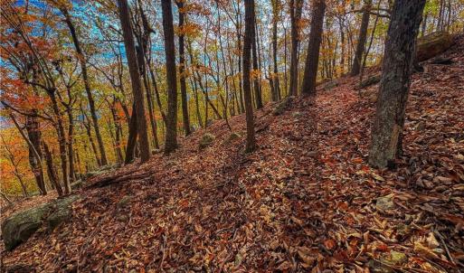 Photo #11 of 1920 Sierra Trace, Denton, NC 3.6 acres