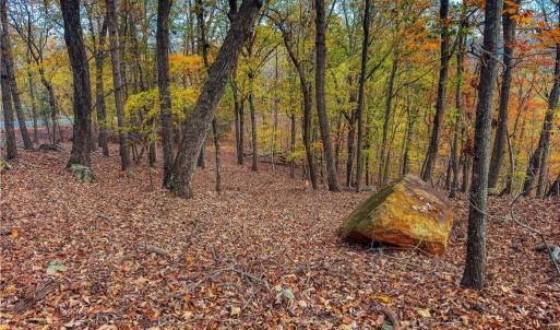 Photo #6 of 1920 Sierra Trace, Denton, NC 3.6 acres