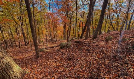 Photo #12 of 1920 Sierra Trace, Denton, NC 3.6 acres