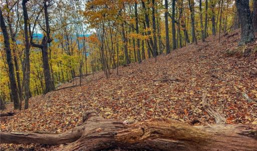 Photo #8 of 1920 Sierra Trace, Denton, NC 3.6 acres