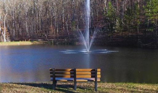 Community pond with walking trails.