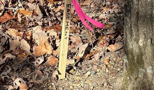 Sides of easement has been marked.
