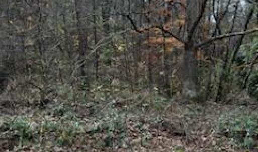 Photo #2 of 4430 Ben, Walkertown, NC 1.0 acres