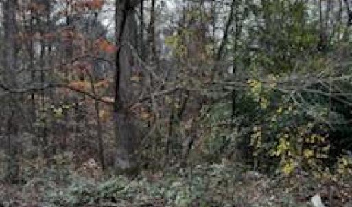 Photo #3 of 4430 Ben, Walkertown, NC 1.0 acres
