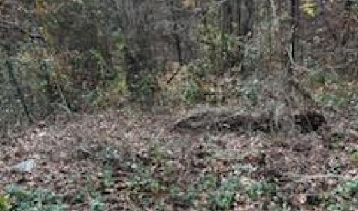 Photo #1 of 4430 Ben, Walkertown, NC 1.0 acres