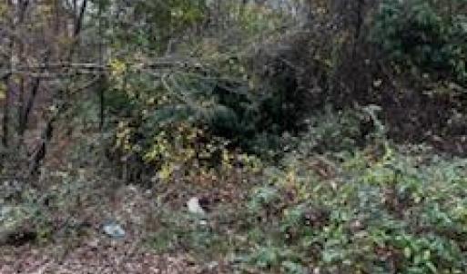 Photo #4 of 4430 Ben, Walkertown, NC 1.0 acres