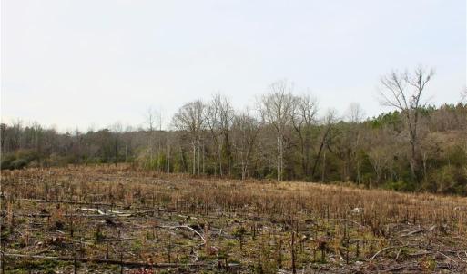 Photo #17 of 1000 Tarry Church, Star, NC 25.7 acres