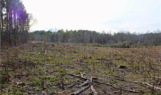 Photo #16 of 1000 Tarry Church, Star, NC 25.7 acres