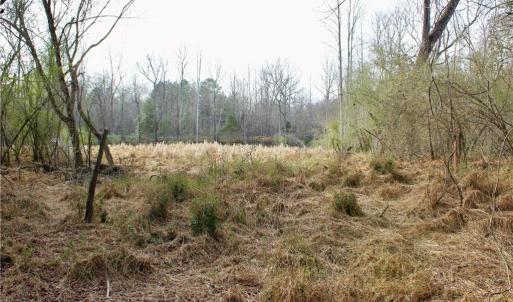 Photo #12 of 1000 Tarry Church, Star, NC 25.7 acres