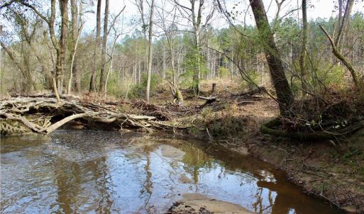 Photo #5 of 1000 Tarry Church, Star, NC 25.7 acres