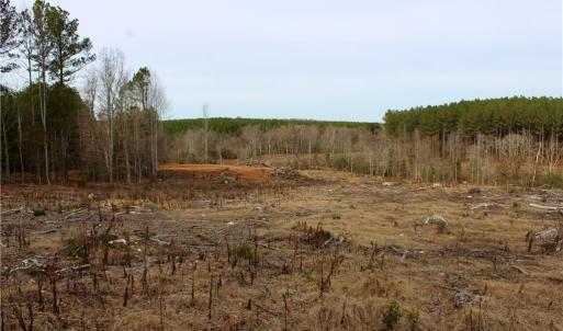 Photo #18 of 1000 Tarry Church, Star, NC 25.7 acres