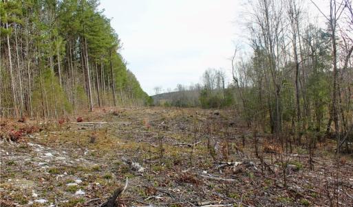 Photo #15 of 1000 Tarry Church, Star, NC 25.7 acres