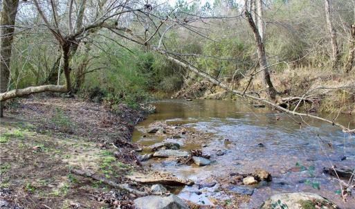 Photo #11 of 1000 Tarry Church, Star, NC 25.7 acres