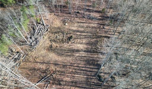 Photo #6 of Neely, Asheboro, NC 11.0 acres