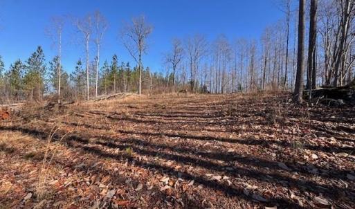 Photo #3 of Neely, Asheboro, NC 11.0 acres