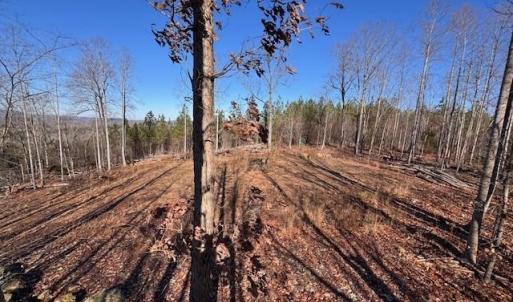 Photo #1 of Neely, Asheboro, NC 11.0 acres