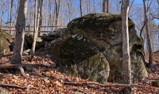 Photo #5 of Neely, Asheboro, NC 11.0 acres