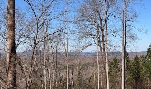 Photo #4 of Neely, Asheboro, NC 11.0 acres