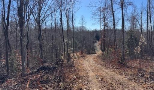 Photo #8 of Neely, Asheboro, NC 11.0 acres