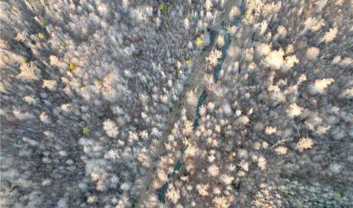 Photo #12 of 1500 Wiley Lewis, Greensboro, NC 188.8 acres