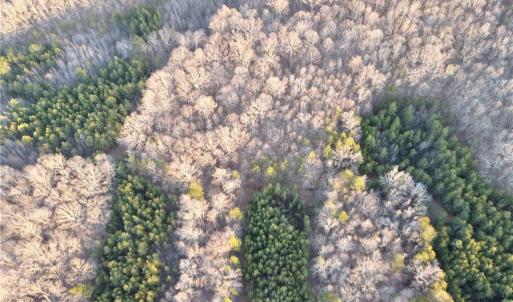 Photo #10 of 1500 Wiley Lewis, Greensboro, NC 188.8 acres