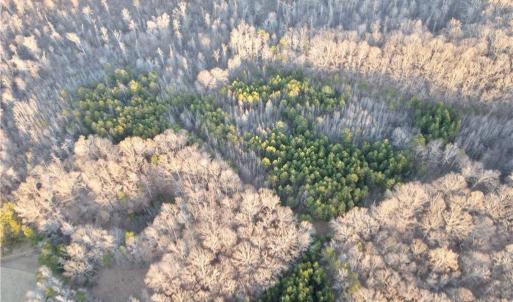 Photo #11 of 1500 Wiley Lewis, Greensboro, NC 188.8 acres