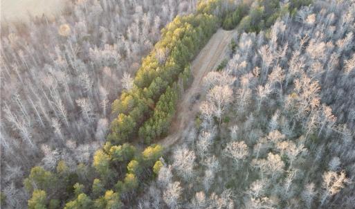 Photo #4 of 1500 Wiley Lewis, Greensboro, NC 188.8 acres