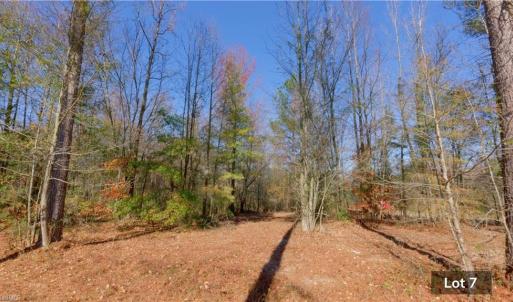 Photo #13 of 215 Georgie, Broadway, NC 1.5 acres