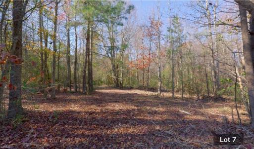 Photo #17 of 215 Georgie, Broadway, NC 1.5 acres