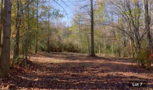 Photo #16 of 215 Georgie, Broadway, NC 1.5 acres