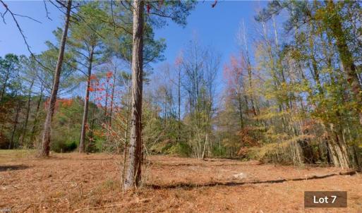 Photo #14 of 215 Georgie, Broadway, NC 1.5 acres