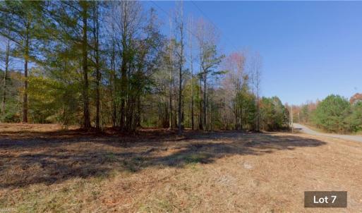 Photo #15 of 215 Georgie, Broadway, NC 1.5 acres