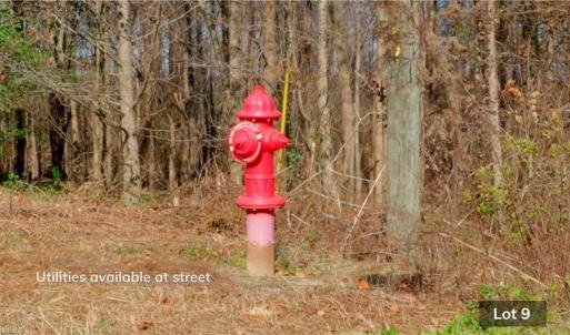 Photo #8 of 215 Georgie, Broadway, NC 1.5 acres