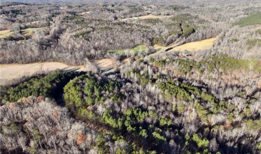 Photo #2 of Lot 3- O Bowen, Pinnacle, NC 4.2 acres